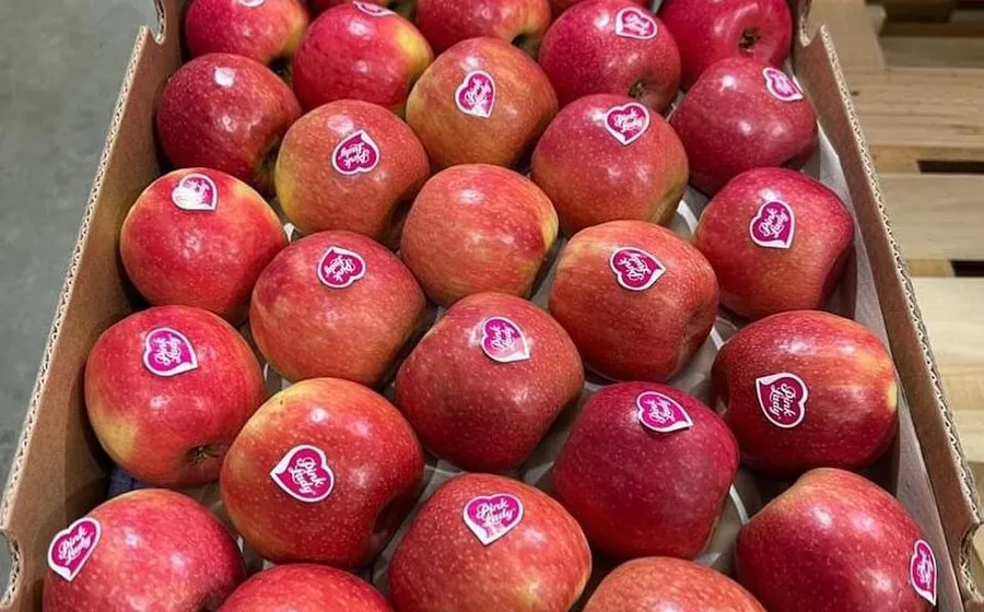 Control de proceso en línea de packing de fruta fresca