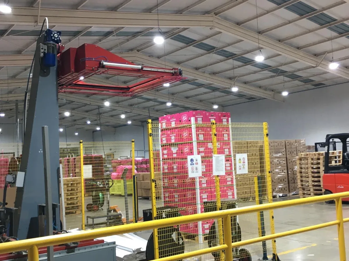 Recepción y selección de fruta en packing de exportación