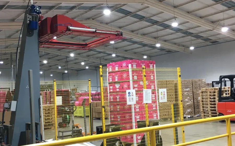 Recepción y selección de fruta en packing de exportación
